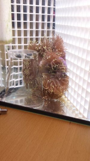 2016-06-23 08.44.20.jpg