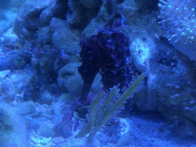IMG_1649.jpg