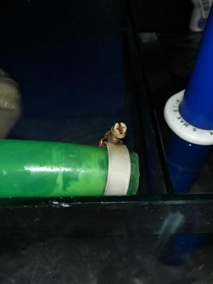 IMG_20160721_195228 (1).jpg