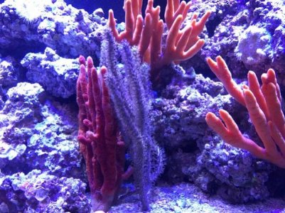 IMG_0447.jpg