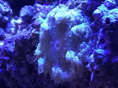 IMG_0449.jpg