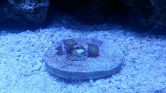 20160731_162808[1].jpg