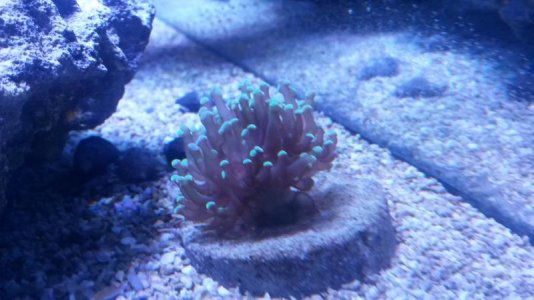 20160731_162833[1].jpg