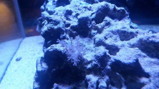 20160731_162821.jpg