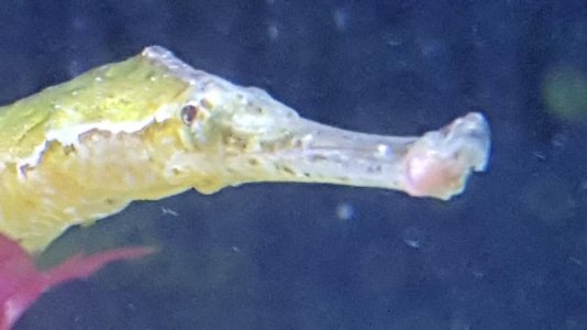20160731_164906.jpg