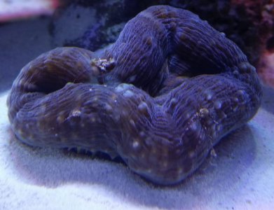 20160801_151029.jpg