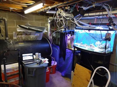 IMG_20160612_193621.jpg