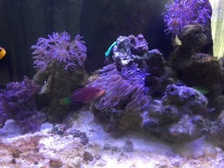 IMG_7393.JPG