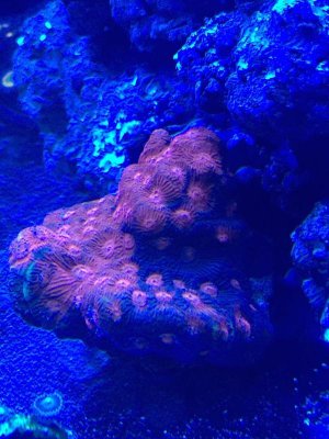 IMG_2557.jpg