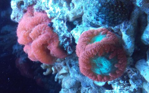 20160627_212155.jpg