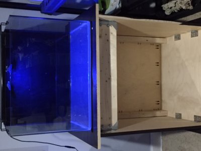 tank pic 4.JPG