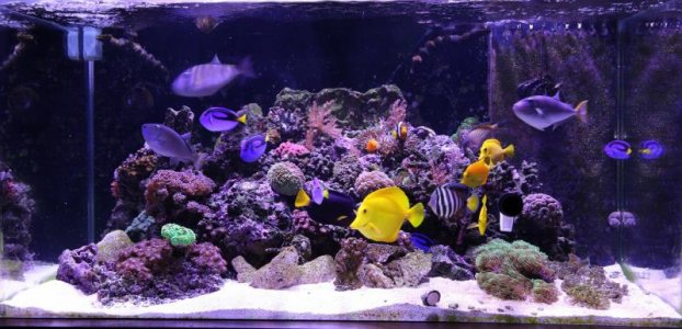150G-2016-08-05(lores).jpg