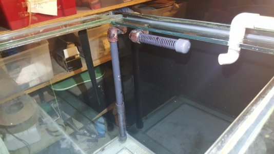 new tank 3.jpg