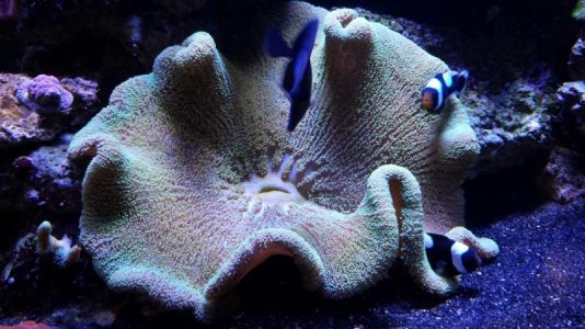 2016-06-29 20.19.32.jpg