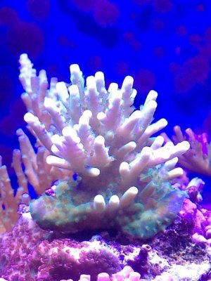 IMG_8395.jpg