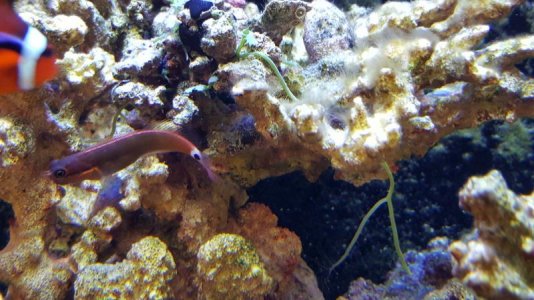 2016-07-05 19.57.31.jpg