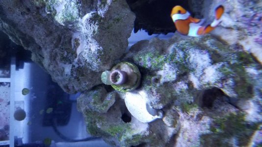 20160630_111920.jpg