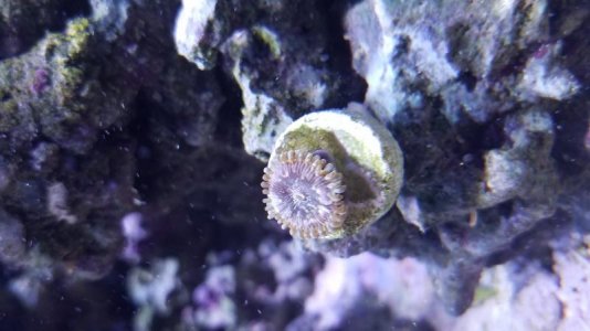 20160630_163424.jpg