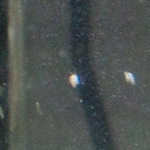 IMG_20160701_224421.jpg