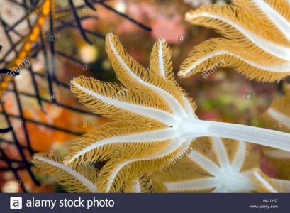 uploadfromtaptalk1467551134783.jpg uploadfromtaptalk1467551134783.jpg