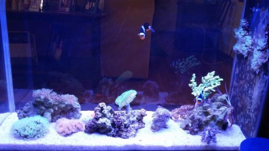 20160703_192225.jpg 20160703_192225.jpg