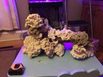 IMG_0553.JPG IMG_0553.JPG