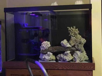 IMG_0559.JPG IMG_0559.JPG