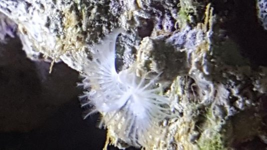 2016-07-06 08.24.47.jpg