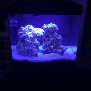 IMG_8559.jpg IMG_8559.jpg