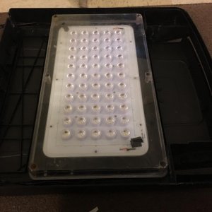 IMG_8557.jpg IMG_8557.jpg