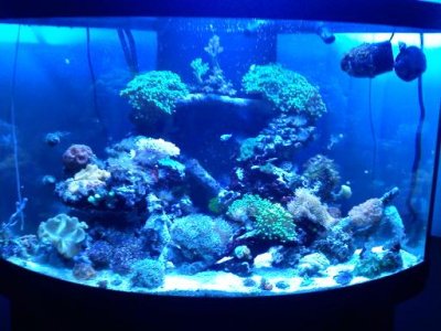 54g fts.jpg