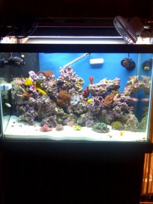 photo(12).jpg