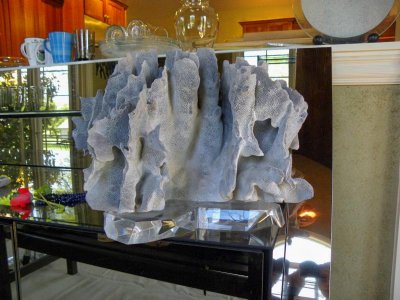 DSCN1121.jpg