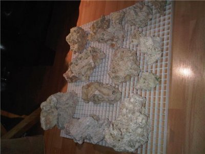 Initial layout.jpg Initial layout.jpg