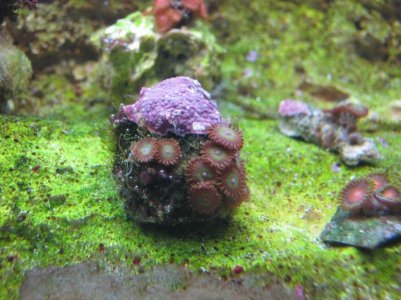 IMG_3927.jpg