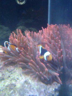 2010-04-12 14-1.13.24.jpg