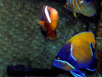 Got to have friends.jpg