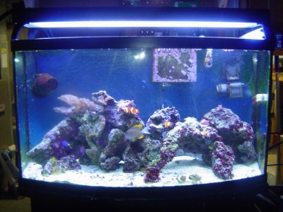 DSC04529[1].jpg