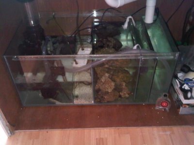 Sump compartments.jpg