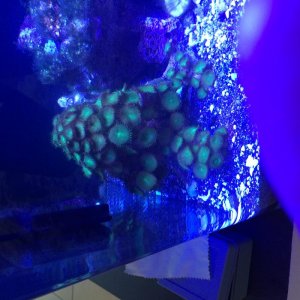 IMG_1087.jpg