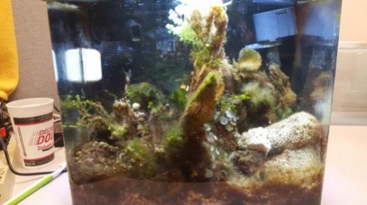 20160706_124144.jpg