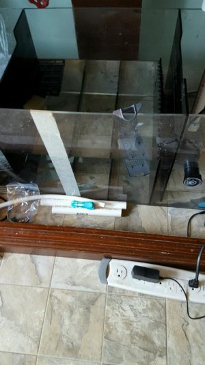 20160709_154504sump.jpg 20160709_154504sump.jpg