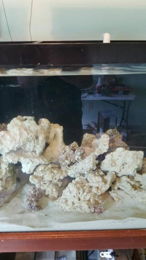 20160709_155048tankoff.jpg 20160709_155048tankoff.jpg