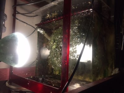 Sump3.jpeg Sump3.jpeg