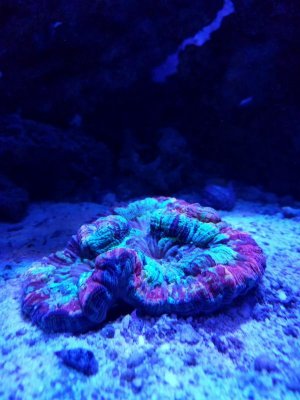 IMG_20160813_202746.jpg