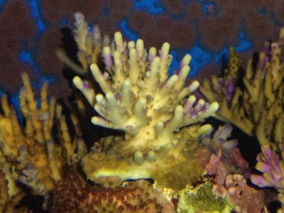 IMG_8646.jpg