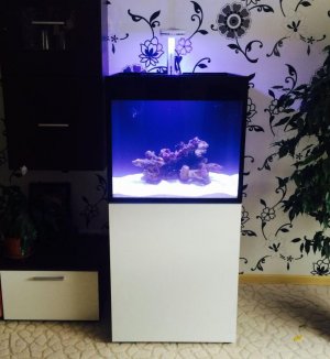 FullSizeRender (91).jpg