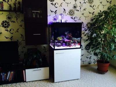 FullSizeRender (47).jpg