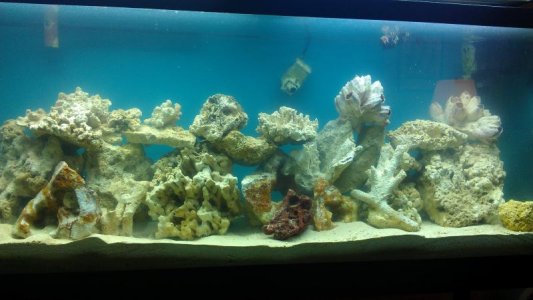 IMAG0525.jpg