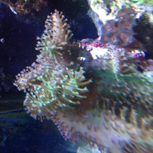 IMG_0272.jpg IMG_0272.jpg